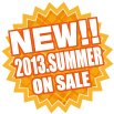 2013年夏発売